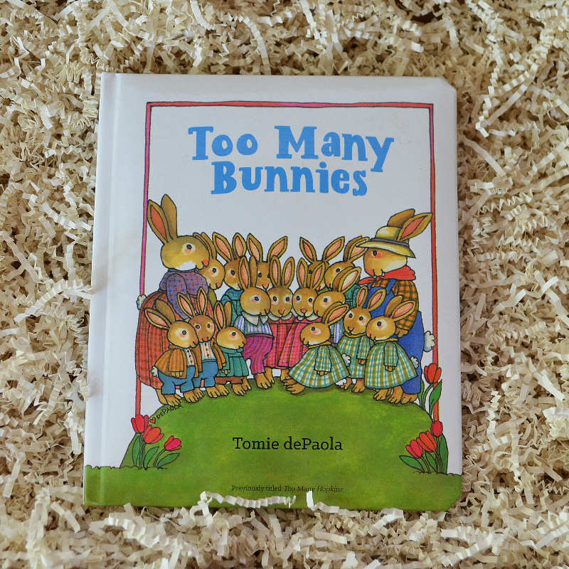Bunny Baby Gift Box & Book Bundle | Velveteen Rabbit & I am a Bunny Book Bundle with Bunny Lovey