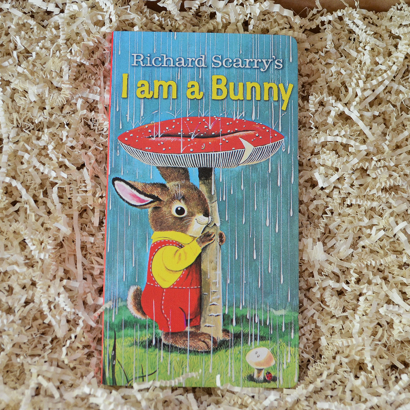 Bunny Baby Gift Box & Book Bundle | Velveteen Rabbit & I am a Bunny Book Bundle with Bunny Lovey