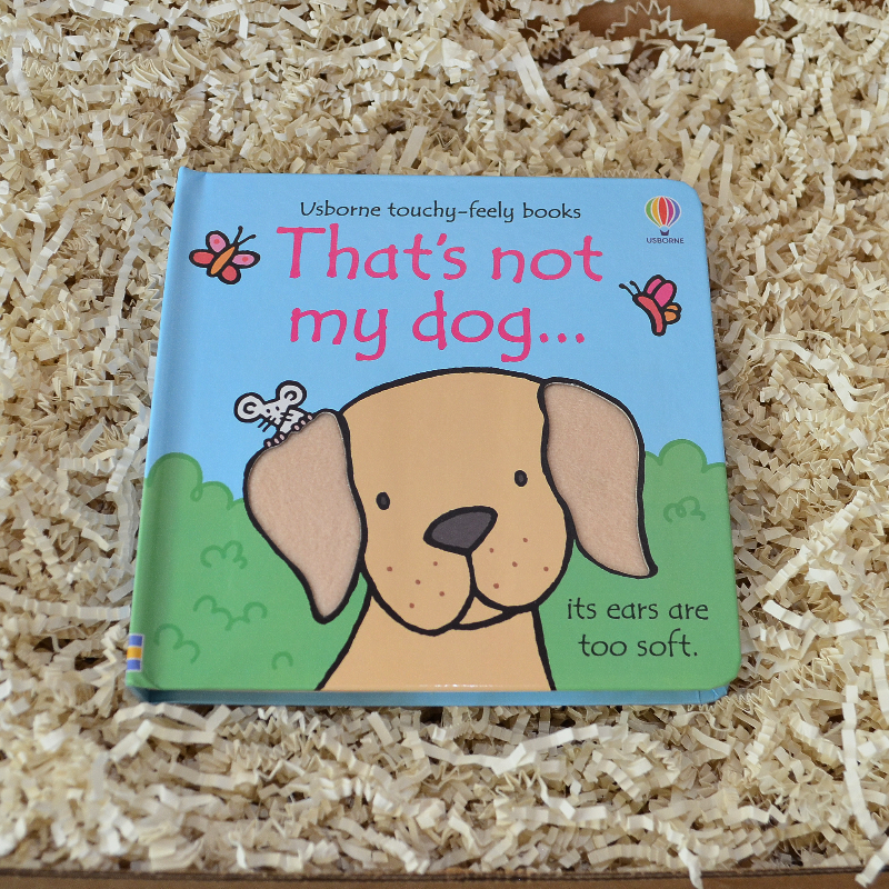 Puppy Dog Baby Gift Box & Book Bundle | Go Dog, Go & Clifford Book Bundle with Puppy Lovey