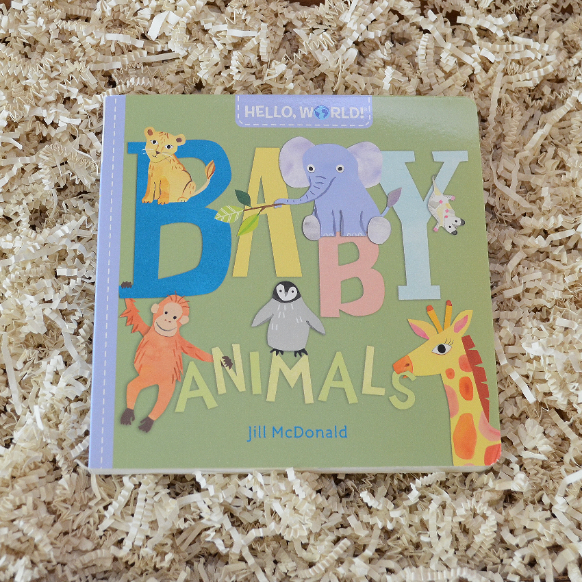Zoo Animal Baby Gift Box & Book Bundle | Curious George & Dear Zoo Book Bundle with Koala Lovey