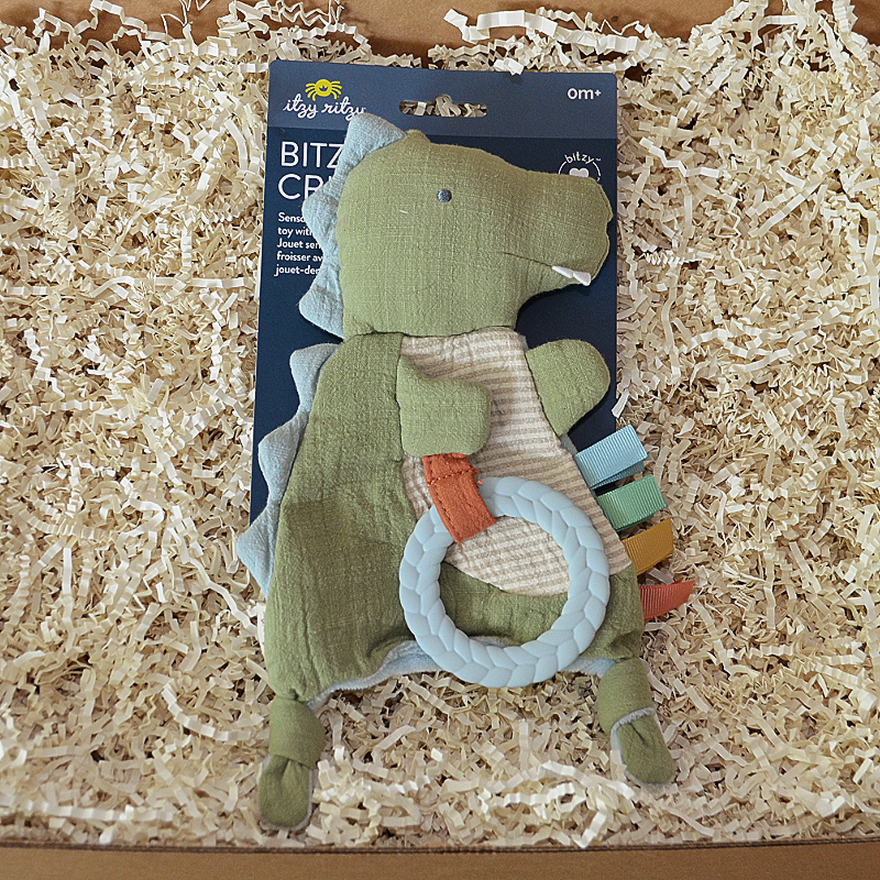 Dinosaur Baby Gift Box & Book Bundle | How do Dinosaurs Say Good Night Book Bundle with Dino Lovey